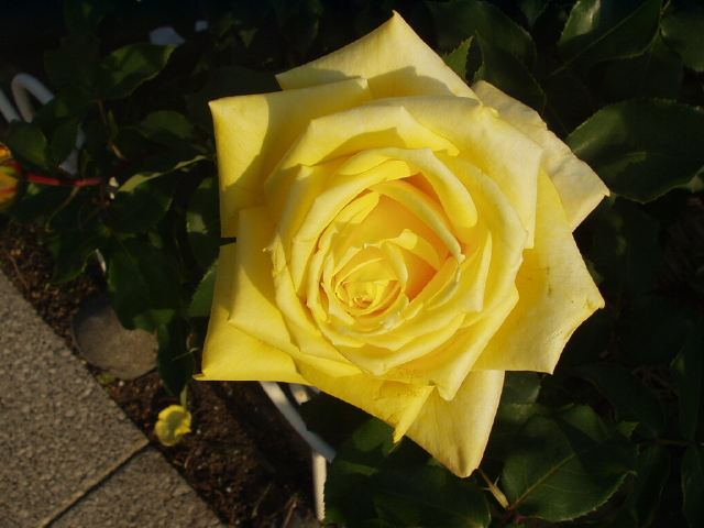 img0009.jpg