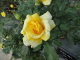 img0002.jpg