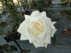 img0007.jpg