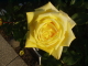 img0009.jpg