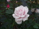 img0011.jpg