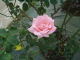 img0012.jpg