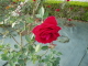 img0013.jpg