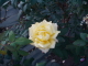 img0014.jpg