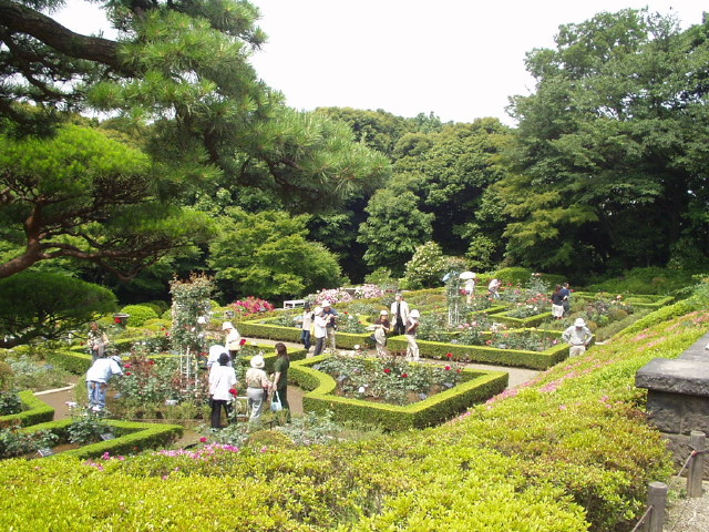 img0003.jpg