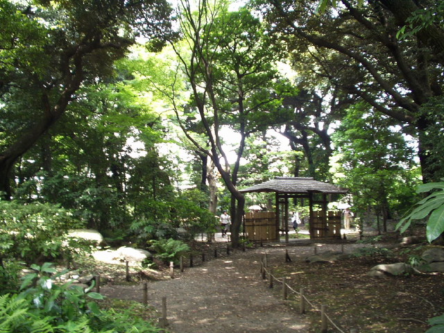 img0008.jpg