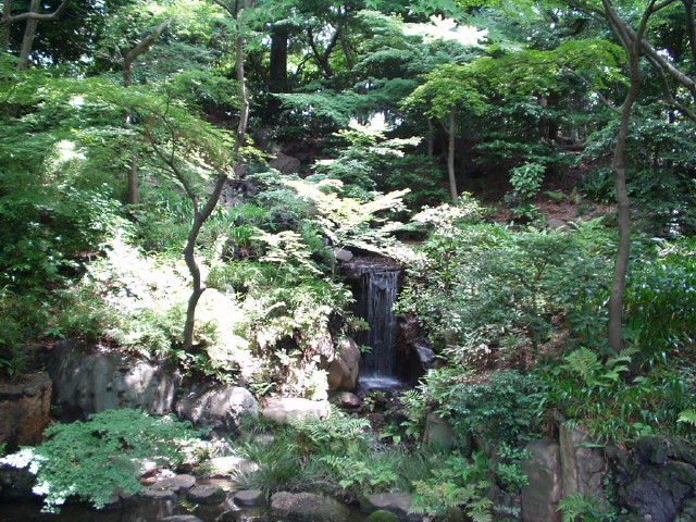 img0009.jpg