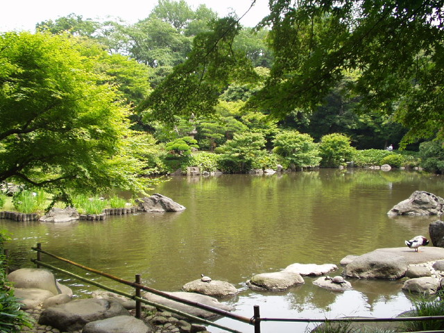 img0010.jpg