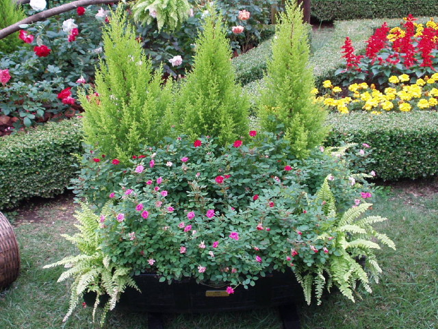 img0019.jpg