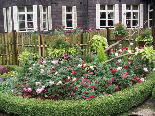 img0020.jpg