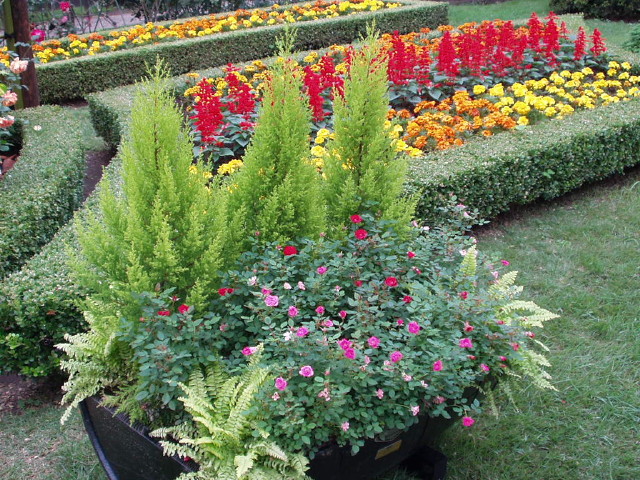 img0021.jpg