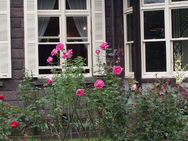 img0022.jpg