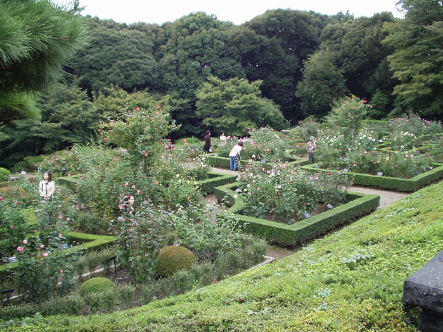 img0024.jpg