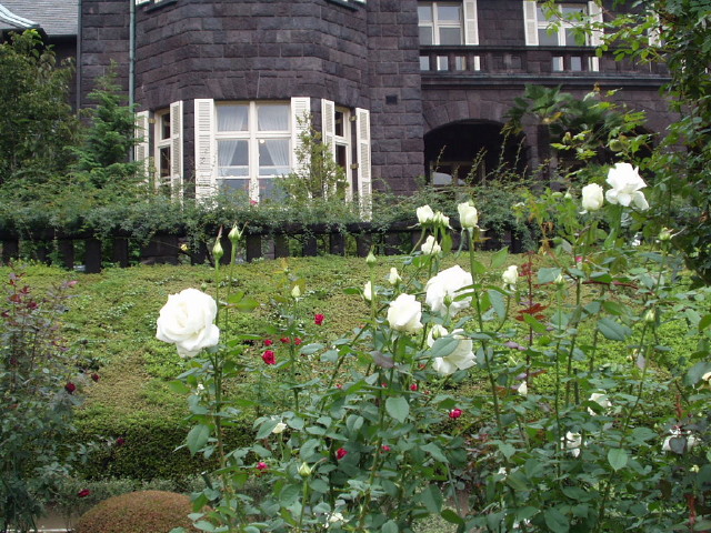img0032.jpg