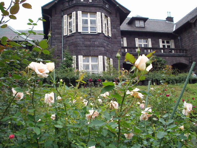 img0035.jpg