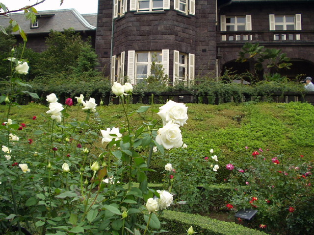 img0036.jpg
