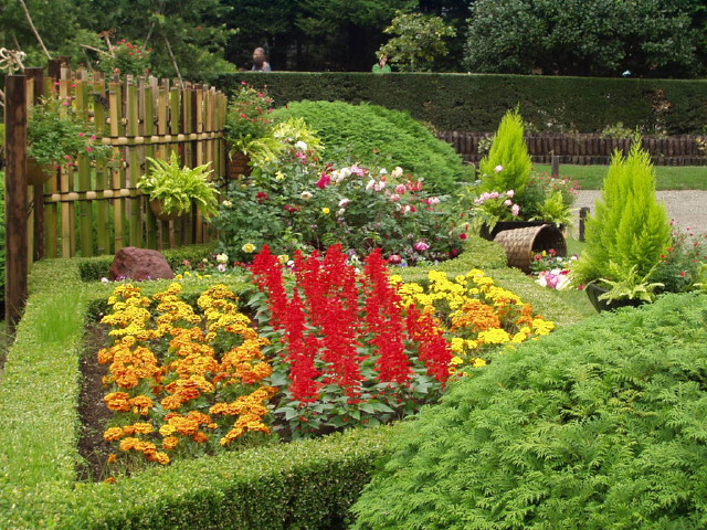 img0040.jpg