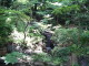 img0009.jpg