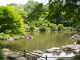 img0010.jpg