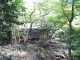 img0012.jpg