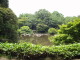 img0014.jpg
