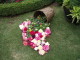 img0018.jpg