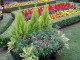 img0021.jpg