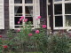 img0022.jpg