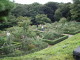 img0024.jpg