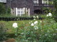 img0032.jpg