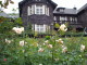 img0035.jpg