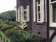 img0043.jpg