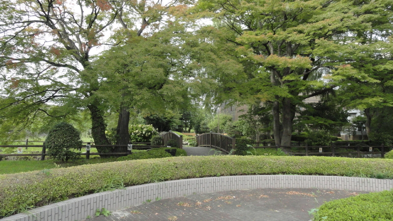img0003.jpg
