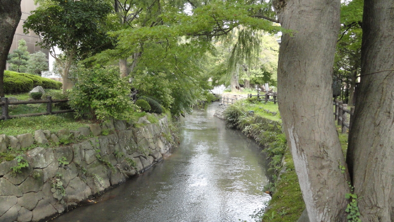 img0006.jpg
