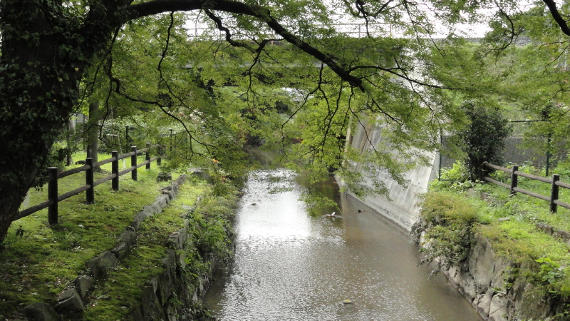 img0007.jpg