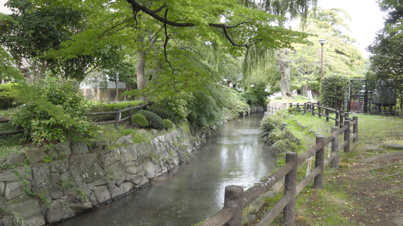 img0008.jpg