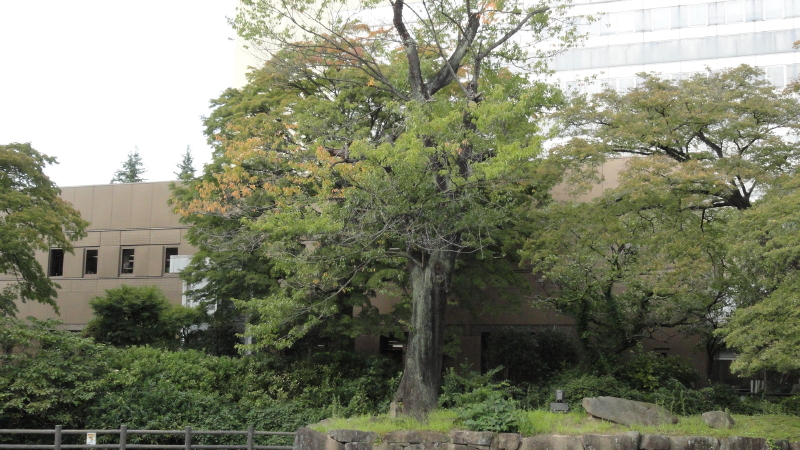 img0015.jpg