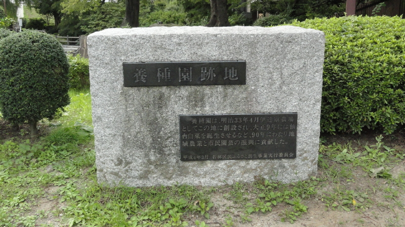 img0016.jpg
