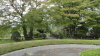 img0003.jpg