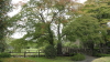 img0004.jpg