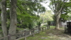 img0005.jpg