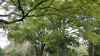 img0013.jpg