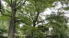 img0014.jpg