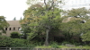 img0015.jpg