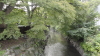 img0019.jpg