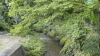img0022.jpg