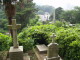 img0004.jpg