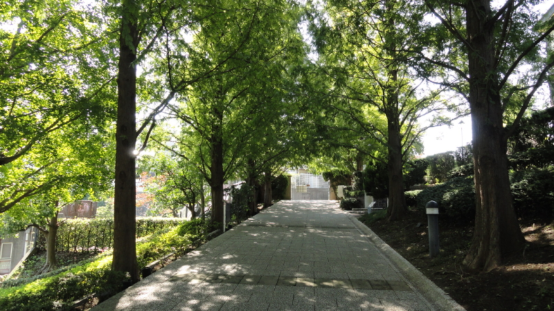 img0001.jpg