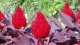 img0004.jpg