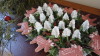 img0017.jpg